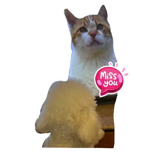 JoJo2 - Sticker 9