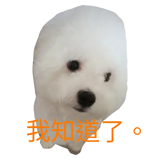 JoJo2 - Sticker 16