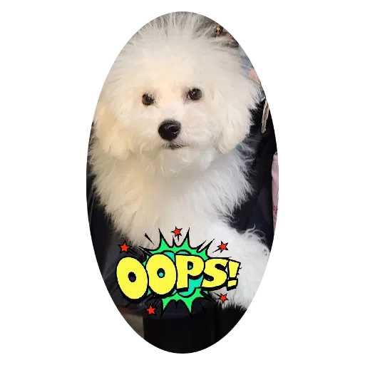JoJo2 - Sticker 18