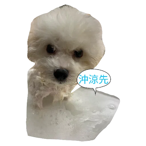 JoJo2 - Sticker 17