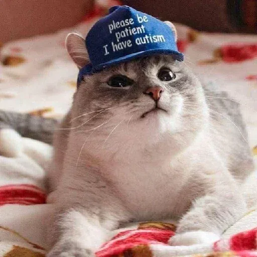 Cat 4 - Sticker 14