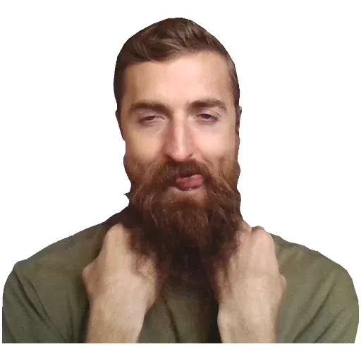 Boroda - Sticker 10