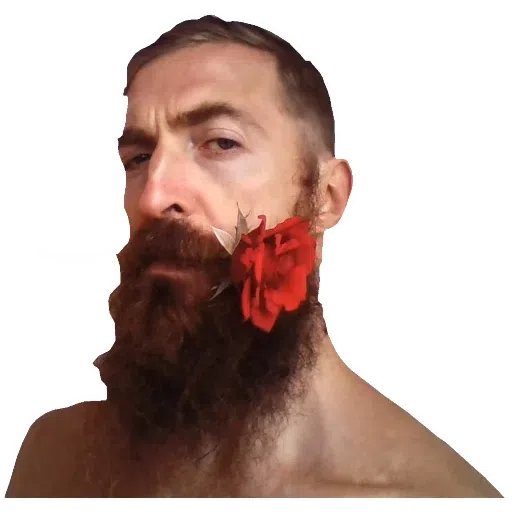 Boroda - Sticker 9