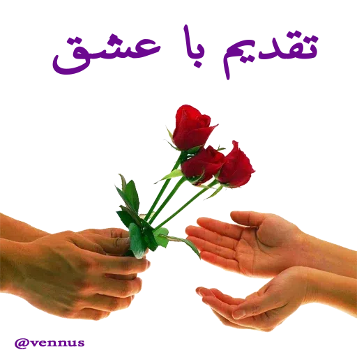 ادبی - Sticker 28