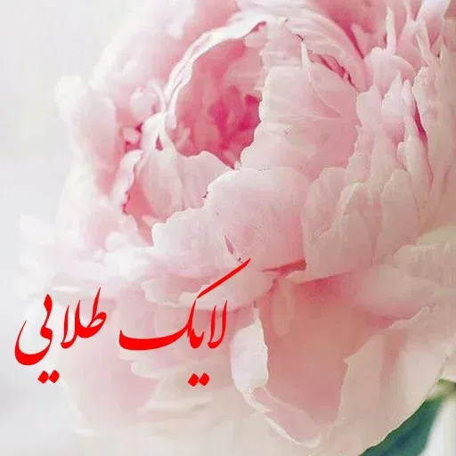 ادبی - Sticker 18