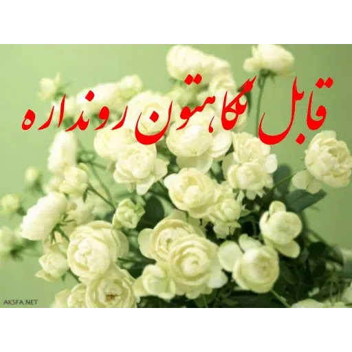 ادبی - Sticker 22