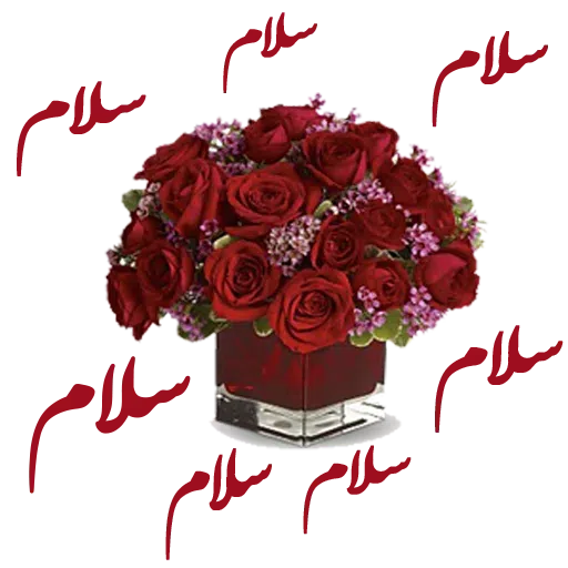 ادبی - Sticker 30