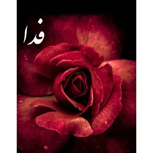 ادبی - Sticker 15