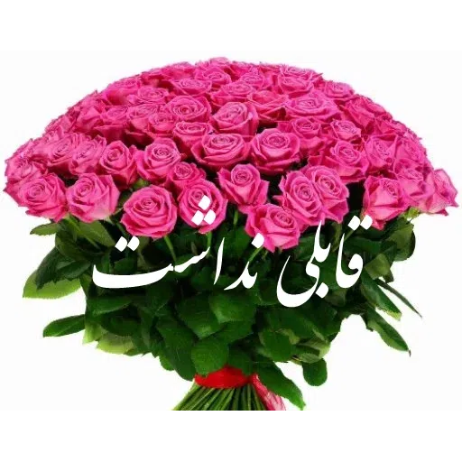 ادبی - Sticker 24
