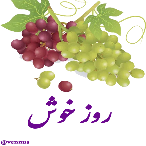ادبی - Sticker 26