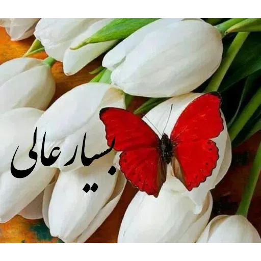 ادبی - Sticker 17
