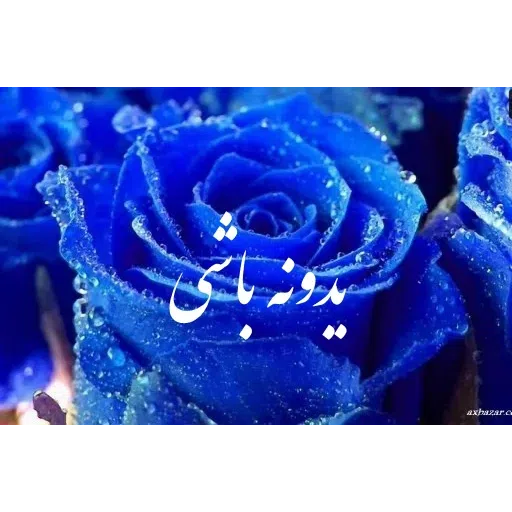 ادبی - Sticker 19
