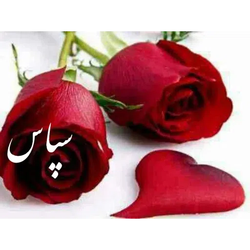ادبی - Sticker 14