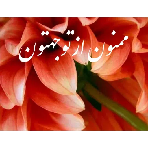 ادبی - Sticker 23