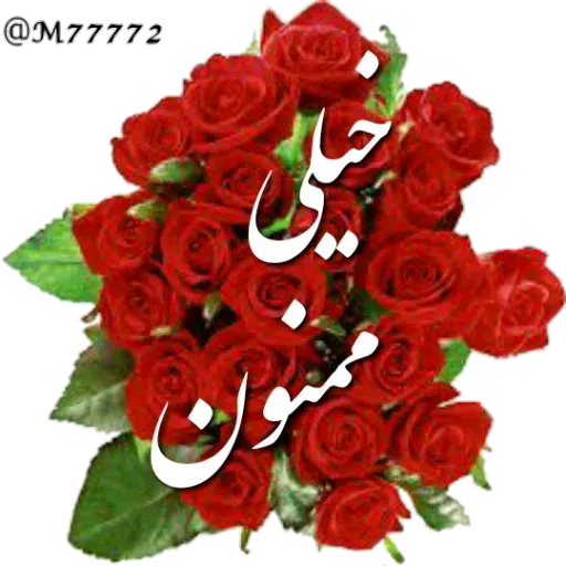 ادبی - Sticker 13