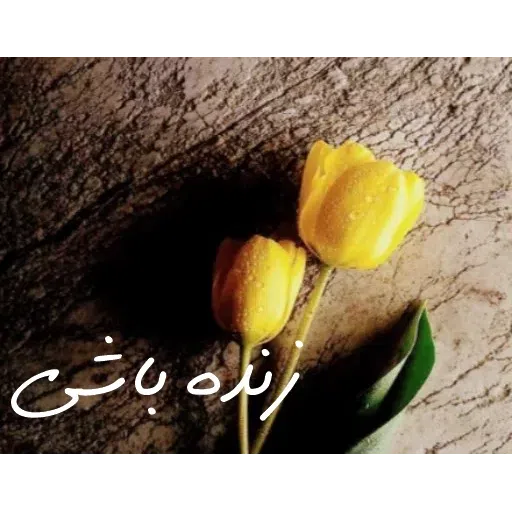 ادبی - Sticker 16