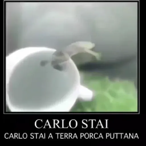 Memini molto succosi - Sticker 20