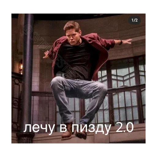 Лось и Белка - Sticker 19