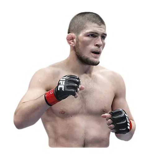 Хабиб - Sticker 14