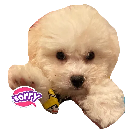 JoJo - Sticker 19