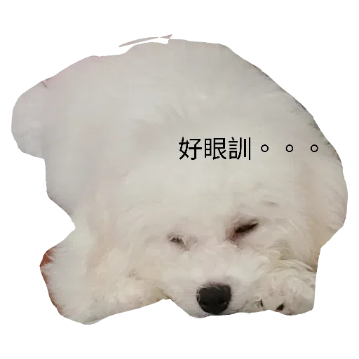 JoJo - Sticker 13