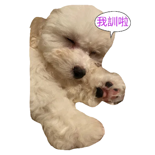 JoJo - Sticker 17