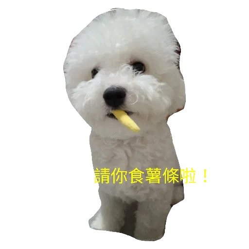 JoJo - Sticker 9