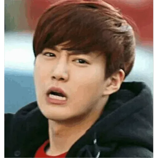 EXO MEME 3 - Sticker 14