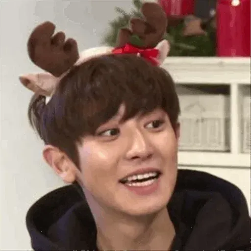 EXO MEME 3 - Sticker 19