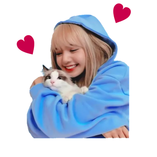 BlackPink - Sticker 15