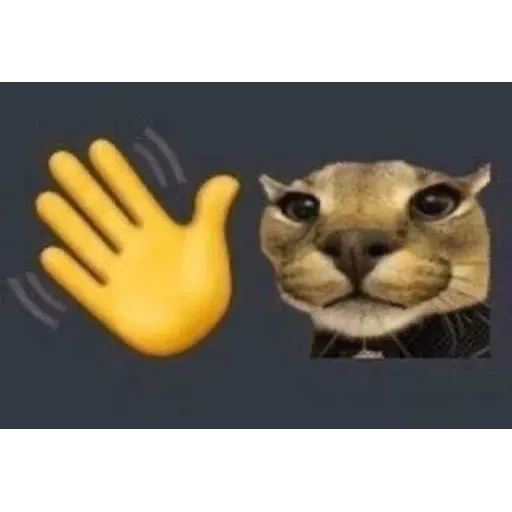 funne cat 1 - Sticker 27