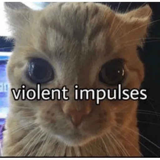 funne cat 1 - Sticker 21