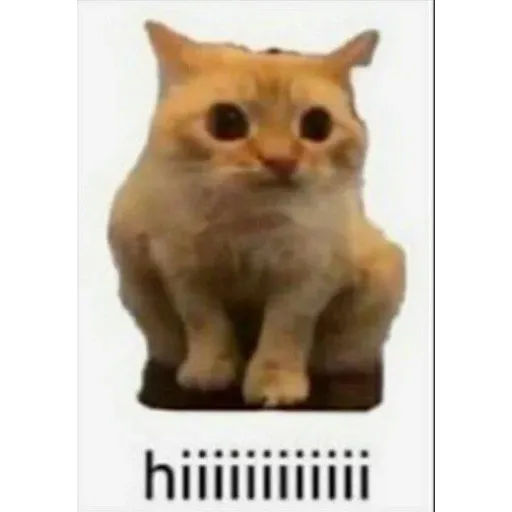 funne cat 1 - Sticker 14