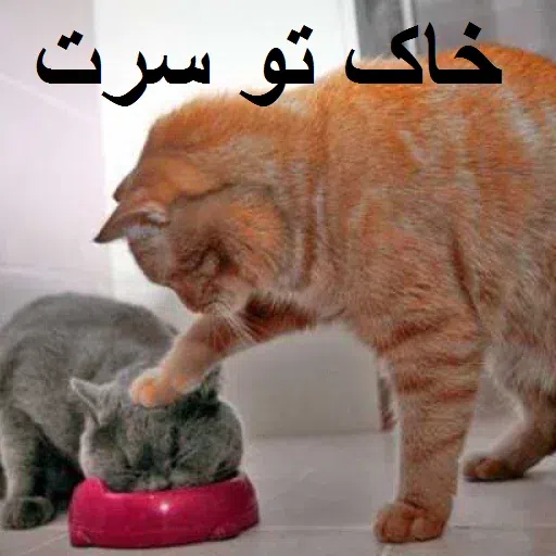 Amoo mahdi - Sticker 11