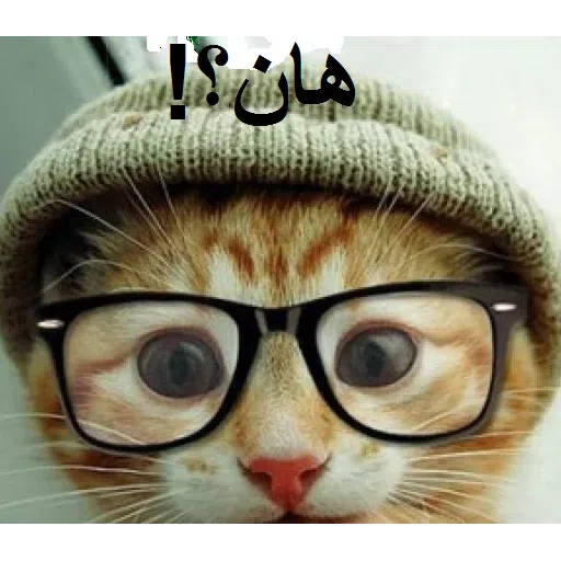 Amoo mahdi - Sticker 12