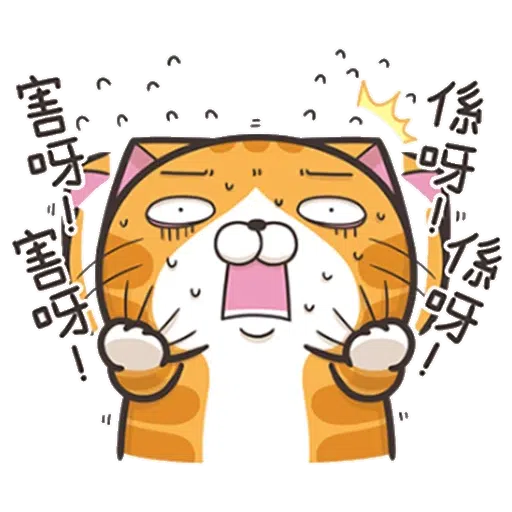 Lanlan cat - Sticker 19