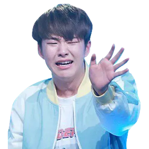 SEVENTEEN ❤️ - Sticker 9