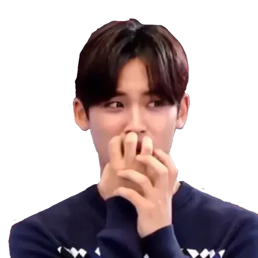 SEVENTEEN ❤️ - Sticker 11