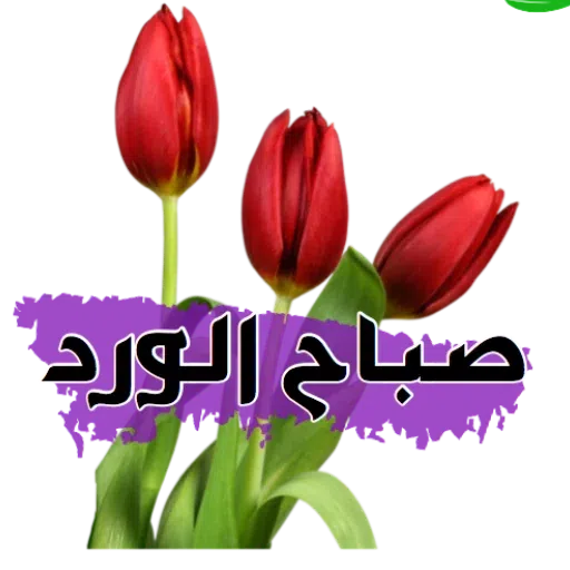 Arabi - Sticker 24