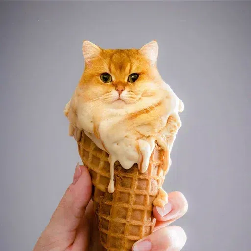 meowwwww - Sticker 17