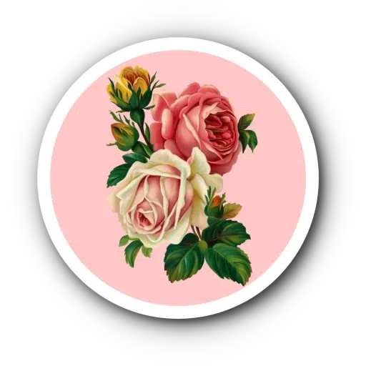 Pack3 - Sticker 28