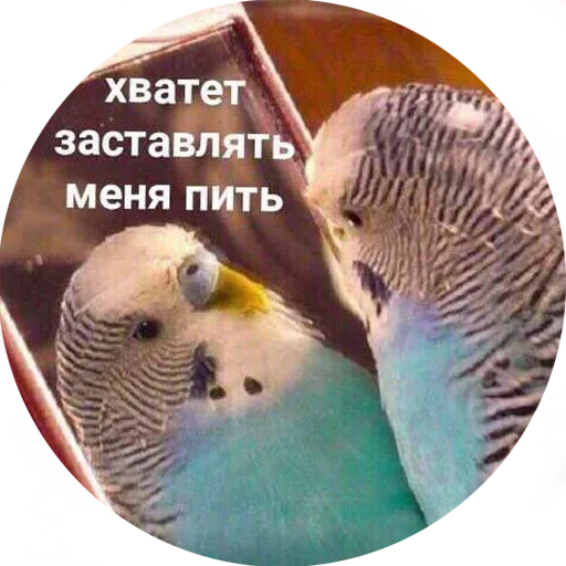Popug - Sticker 15