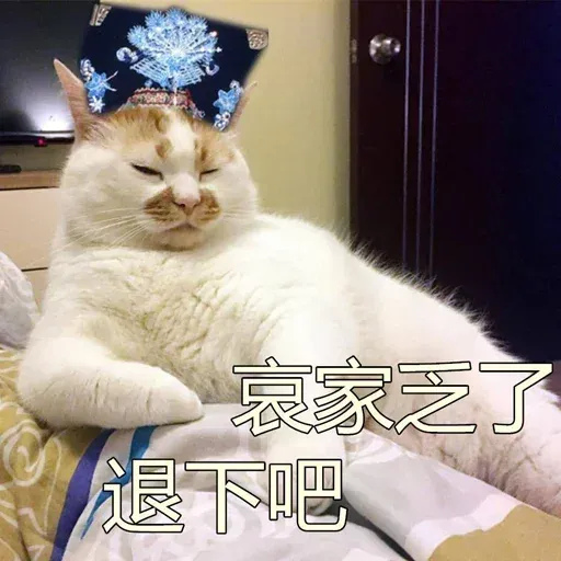 Cutecat4 - Sticker 17