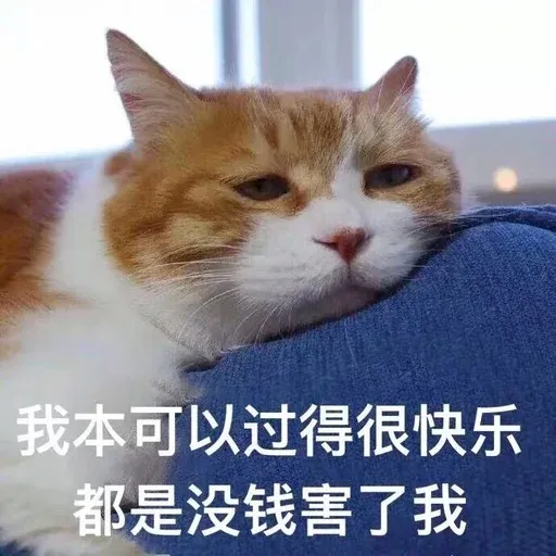 Cutecat4 - Sticker 25