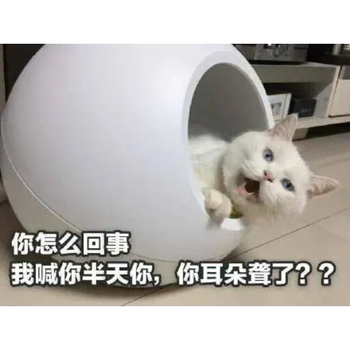 Cutecat4 - Sticker 28
