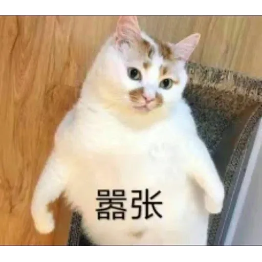 Cutecat4 - Sticker 12