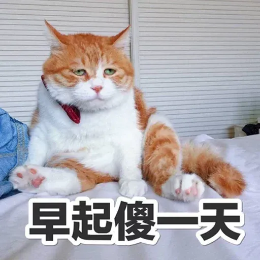Cutecat4 - Sticker 21