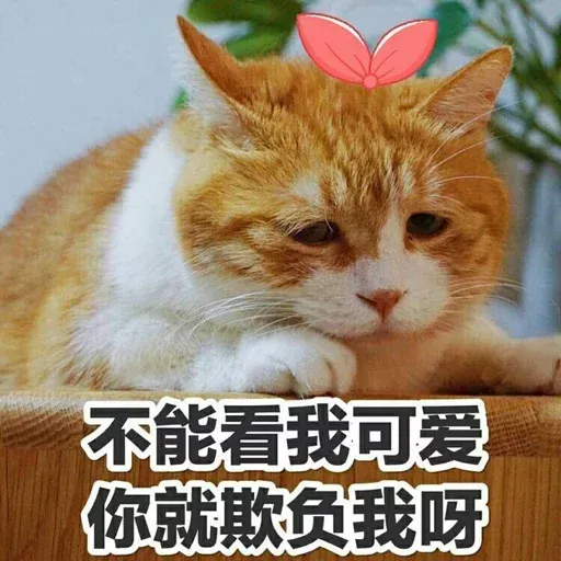 Cutecat4 - Sticker 18