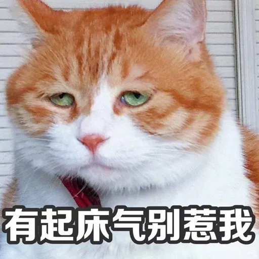 Cutecat4 - Sticker 19