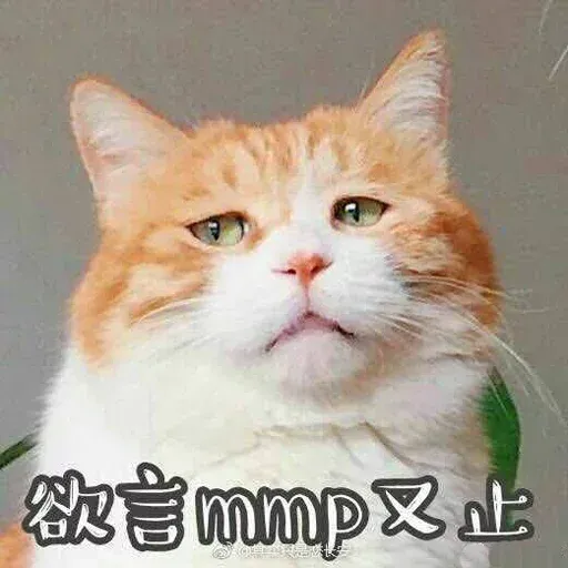 Cutecat4 - Sticker 24